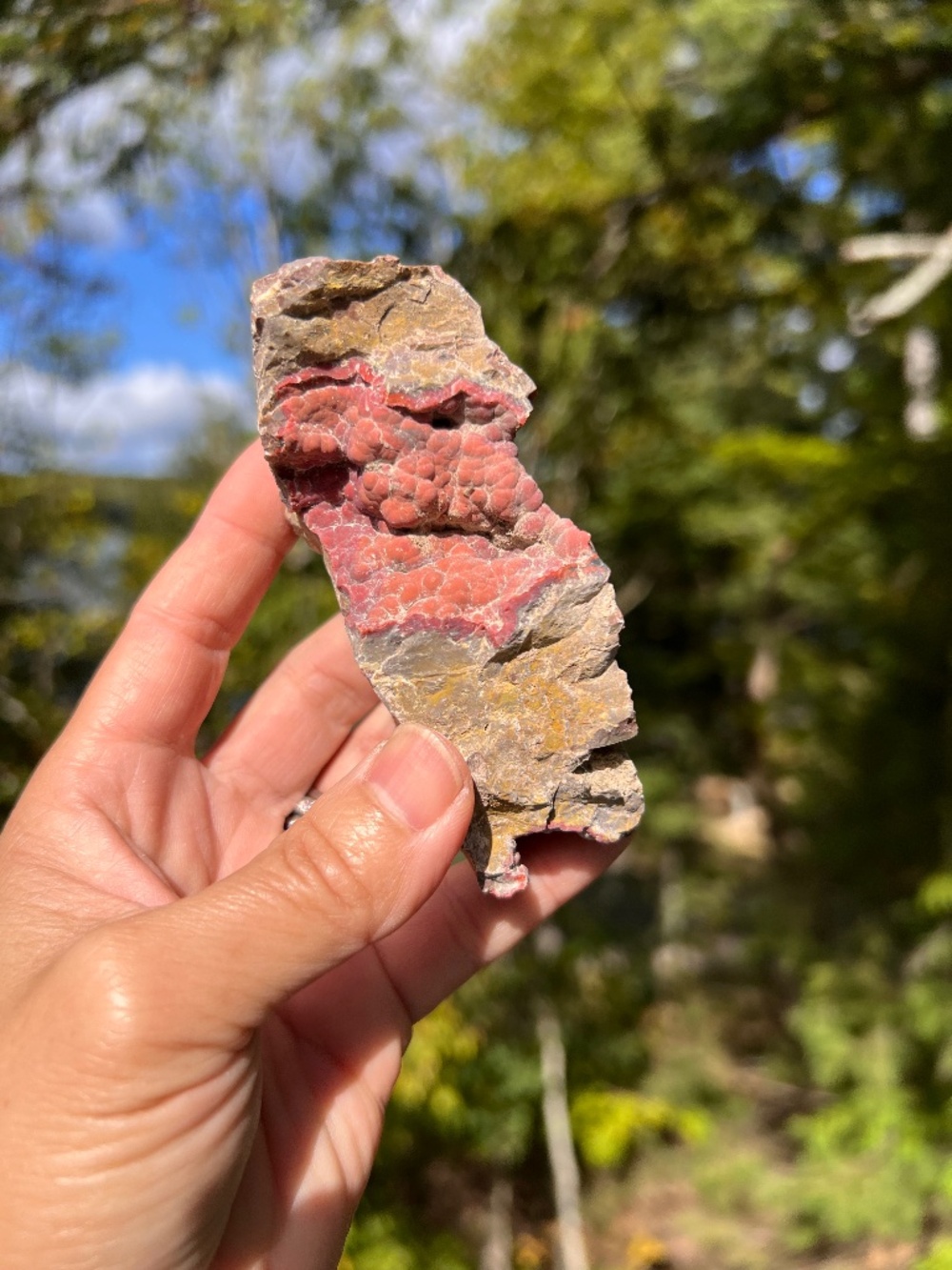 Red (1) fox crater agate freeform | crystal